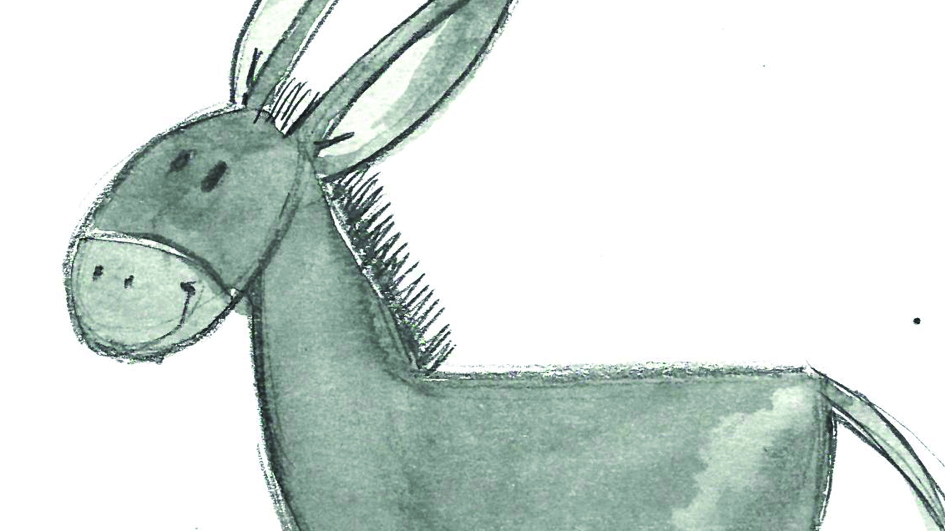Illustrate junior II